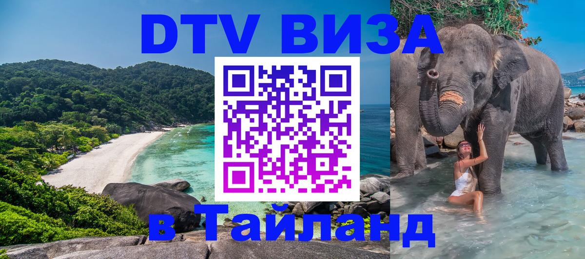Оформление DTV визы под ключ: стоимость и тарифы, только загранпаспорт - 20.11.2025 